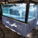 آکواریوم ماهی زنده طول ۱.۵ متری